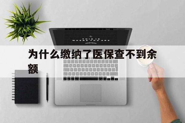 上海最新为什么缴纳了医保查不到余额方法分析(最方便真实的上海医保交了费怎么查不到方法)