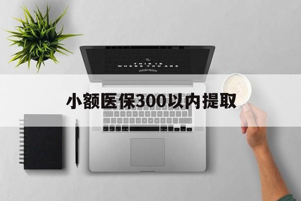 上海最新小额医保300以内提取方法分析(最方便真实的上海小额医保300以内提取中介方法)